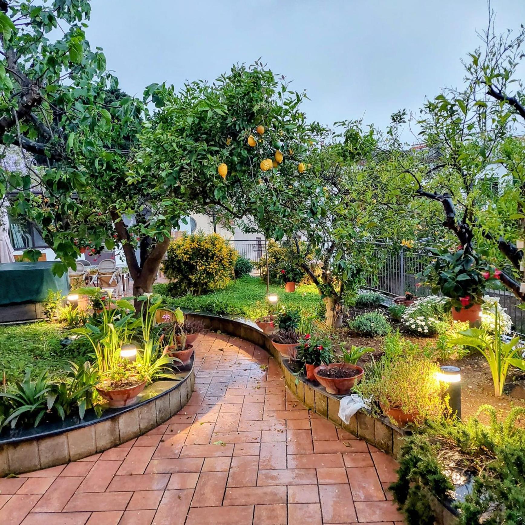 Il Giardino Dei Gigli Διαμέρισμα Meta Δωμάτιο φωτογραφία