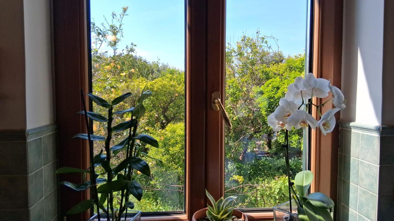 Il Giardino Dei Gigli Διαμέρισμα Meta Εξωτερικό φωτογραφία