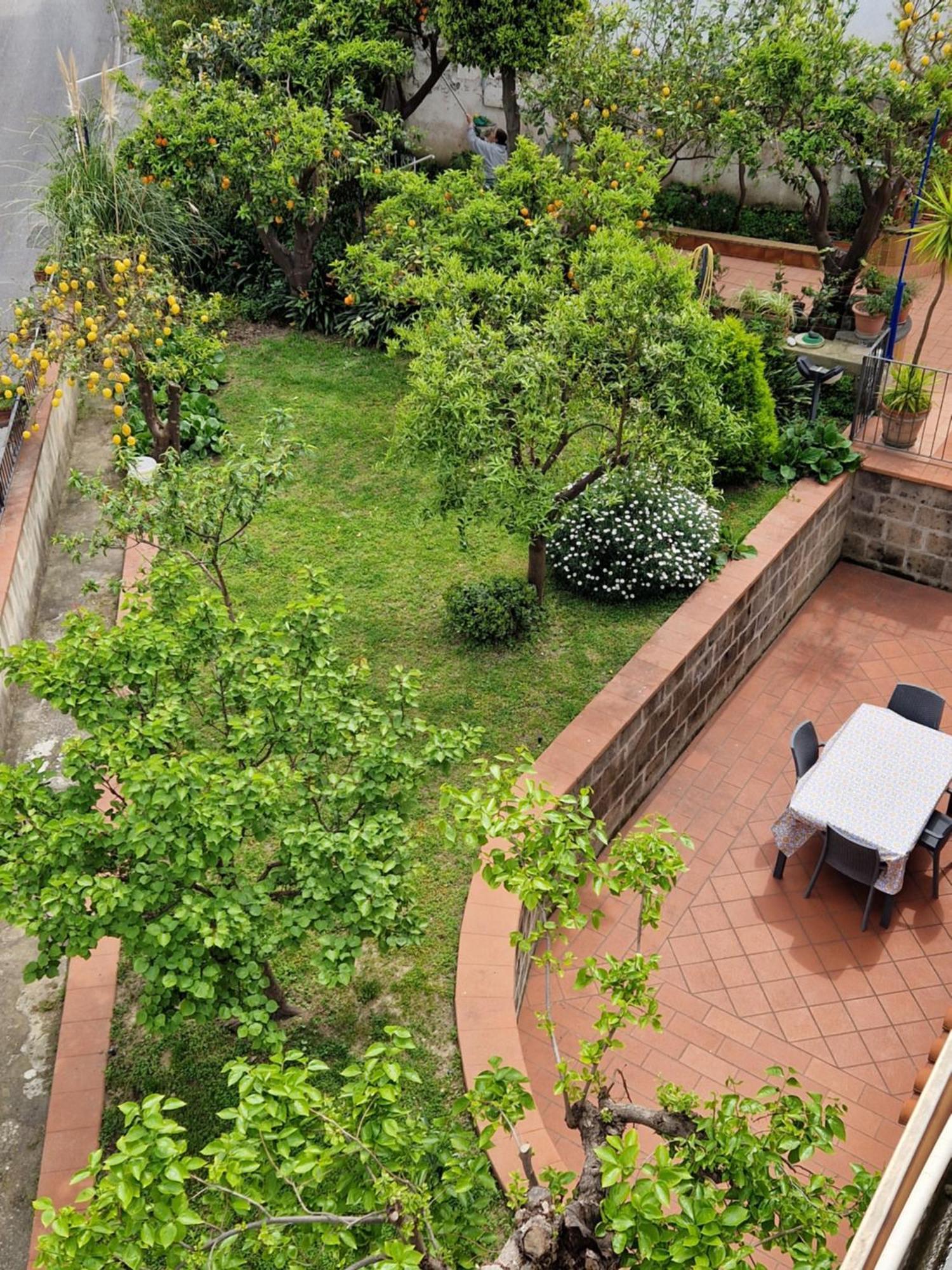 Il Giardino Dei Gigli Διαμέρισμα Meta Εξωτερικό φωτογραφία