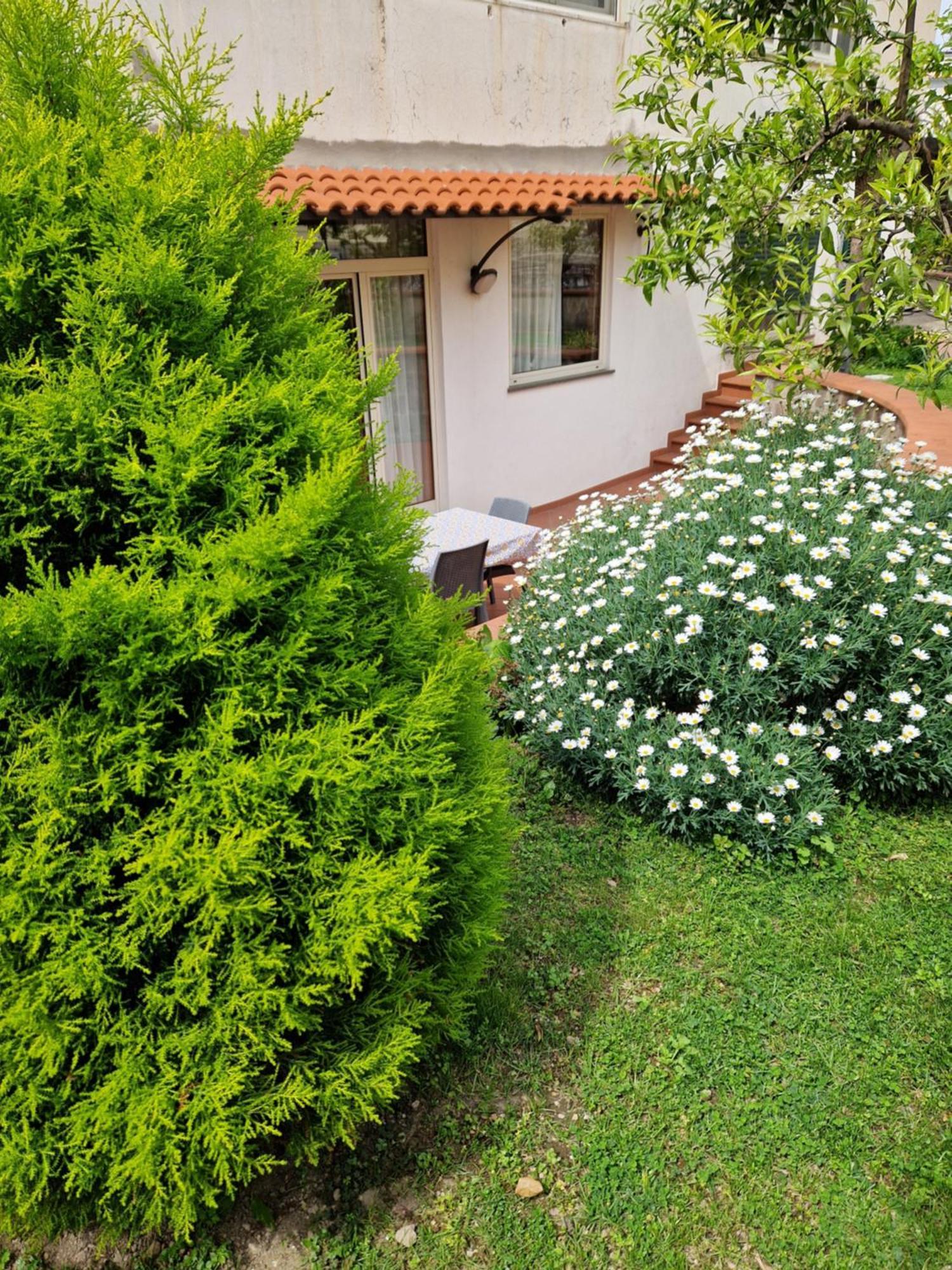 Il Giardino Dei Gigli Διαμέρισμα Meta Εξωτερικό φωτογραφία