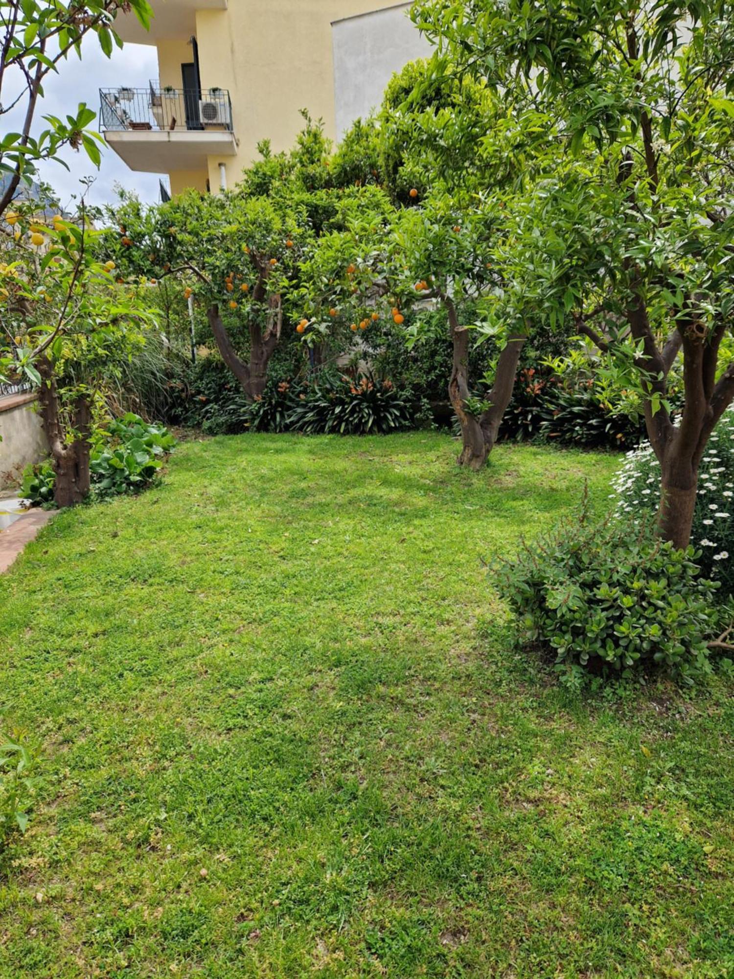 Il Giardino Dei Gigli Διαμέρισμα Meta Εξωτερικό φωτογραφία