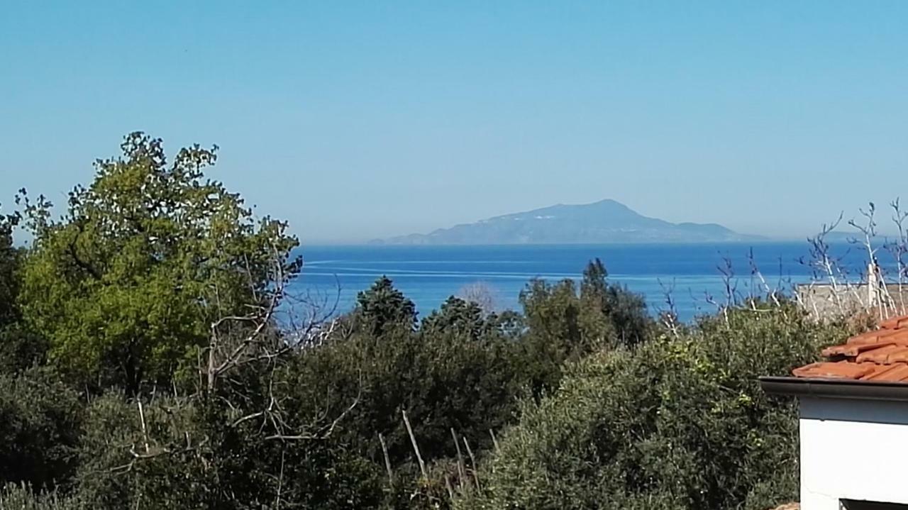 Il Giardino Dei Gigli Διαμέρισμα Meta Εξωτερικό φωτογραφία